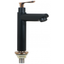 ISANO NANO BLACK SUS304 STAINLESS STEEL LONG PILLAR TAP (1600PT)