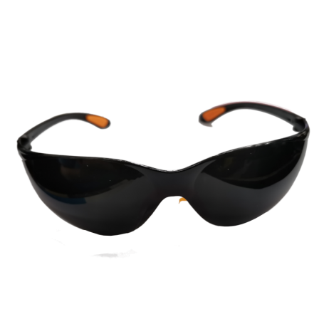 FIESTO SAFETY GOGGLES WITH COVER 168