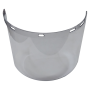 PROGUARD ECOSAFE VISOR SHIELD GLASS ONLY (10mm)