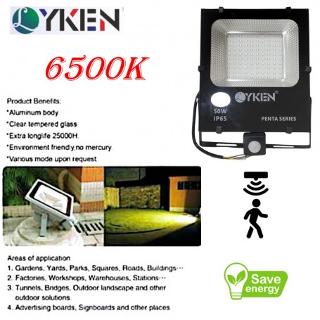 LYKEN MOTION SENSOR FLOODLIGHT - 6500K