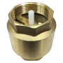 STA BRASS SPRING CHECK VALVE