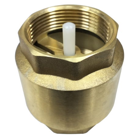 STA BRASS SPRING CHECK VALVE