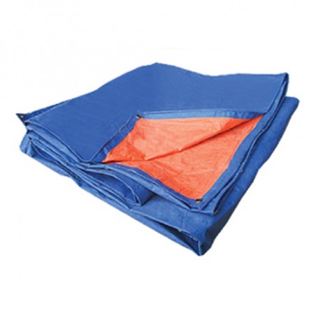 BLUE & ORANGE CANVAS