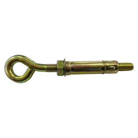 WALL PLUG SCREW WITH EYE BOLT